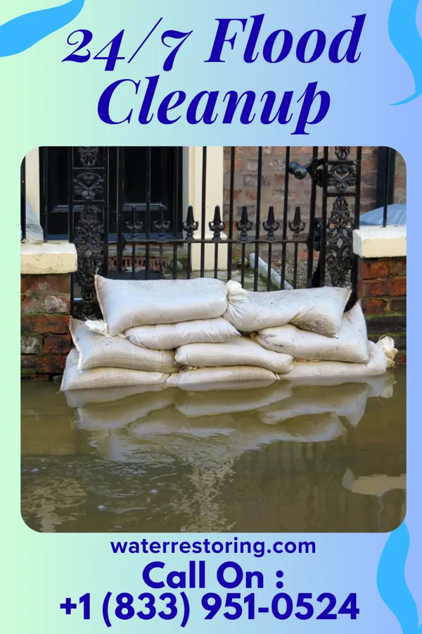 24/7 Flood Cleanup in Hastings, MI