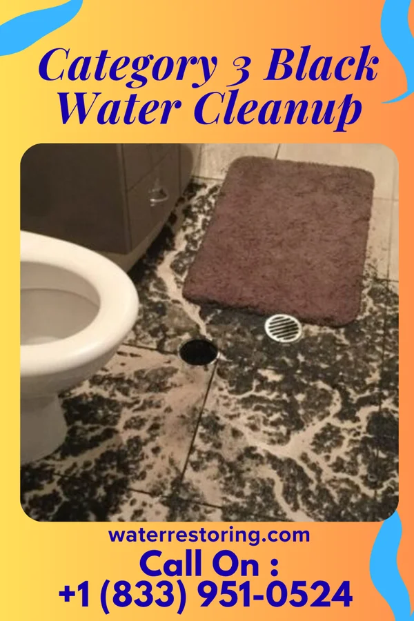 Category 3 Black Water Cleanup in Hastings, MI