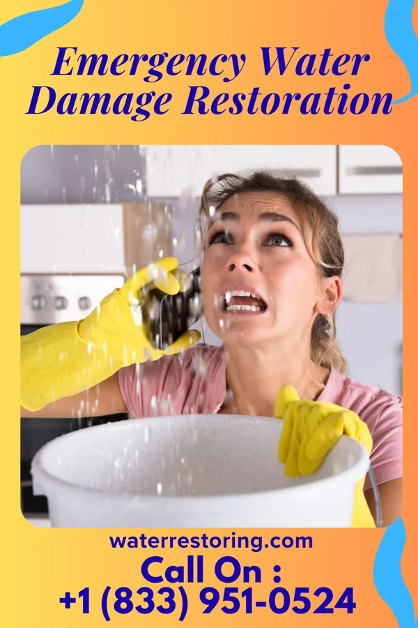 Emergency Water Damage Restoration in Hastings, MI