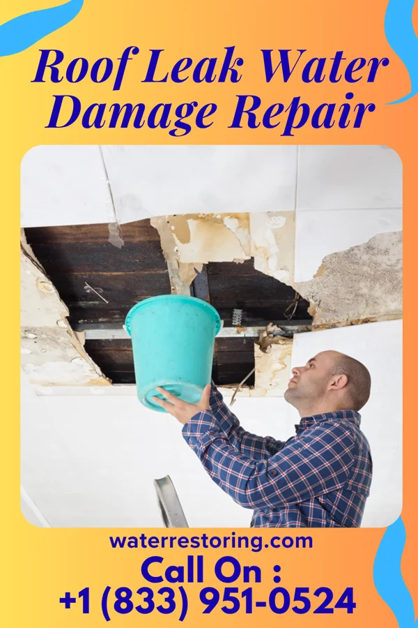 Roof Leak Water Damage Repair in Hastings, MI