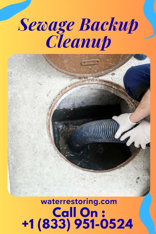 Sewage Backup Cleanup in Hastings, MI
