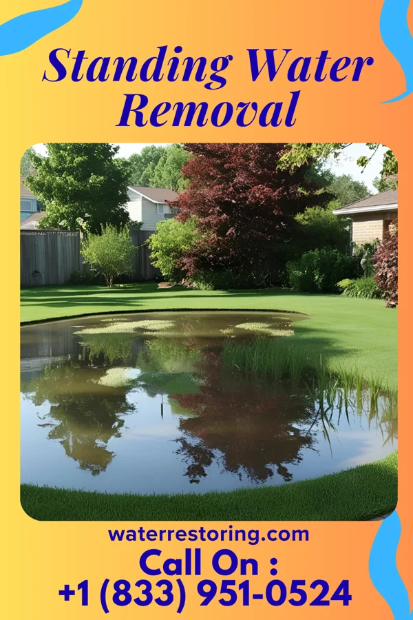Standing Water Removal in Hastings, MI